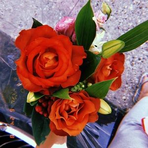 Meet your Posher, Lisbeth